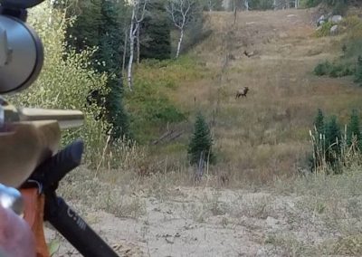 Hunter setting up the shot to kill his Elk