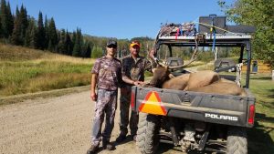 Hunters with their Elk in the back of a Polaris