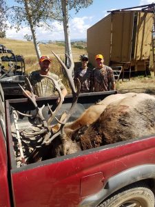 Hunters with their two elk in back of truck