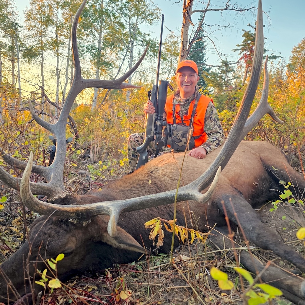 Hunter with Elk in woods during the fall